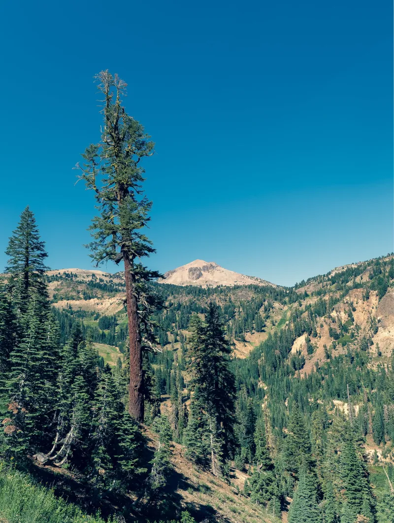 Photograph 7